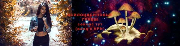 каннабис Верея