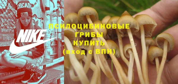 каннабис Верея