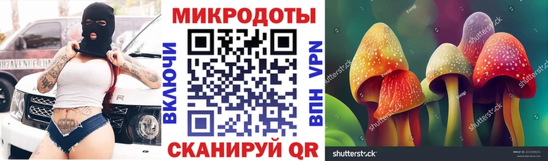 Псилоцибиновые грибы ЛСД Грайворон