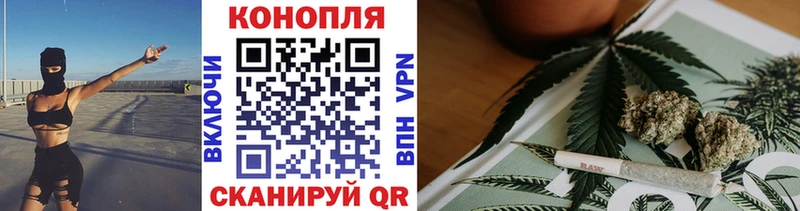 shop как зайти  Грайворон  Бошки марихуана сатива 